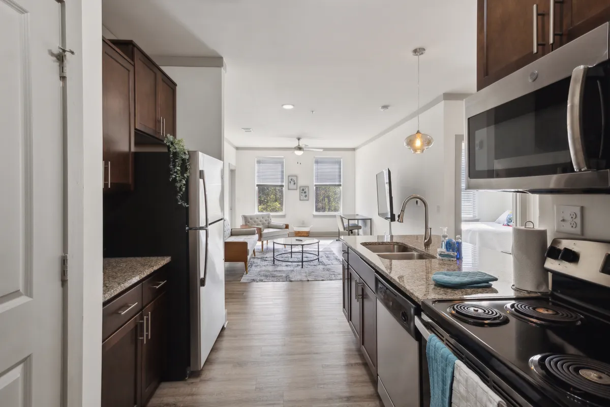 An open-plan area where the living space connects seamlessly with the kitchen. A comfy seating area, television, large windows, and a stylish rug create a welcoming ambiance. The view includes both social and relaxation zones, filled with natural light.
